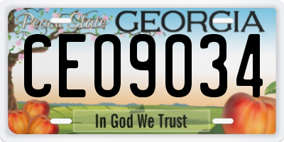 GA license plate CEO9034