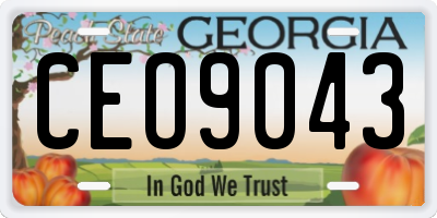 GA license plate CEO9043