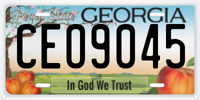 GA license plate CEO9045