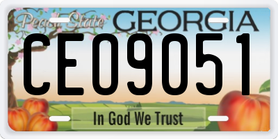 GA license plate CEO9051