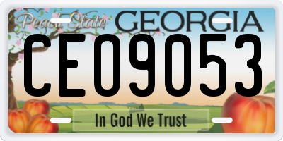 GA license plate CEO9053