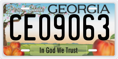 GA license plate CEO9063