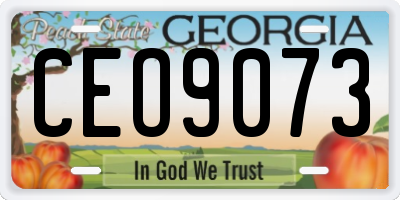 GA license plate CEO9073
