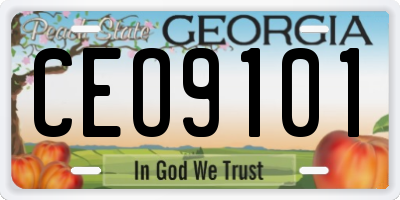 GA license plate CEO9101