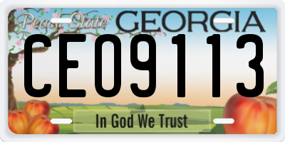 GA license plate CEO9113