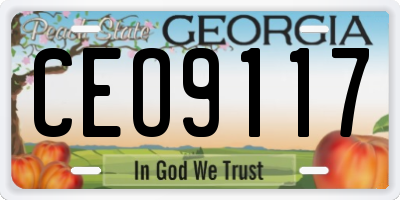 GA license plate CEO9117