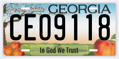 GA license plate CEO9118