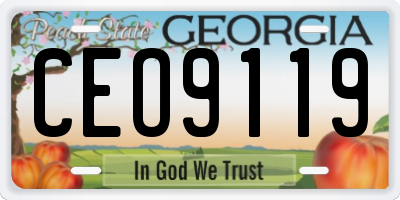 GA license plate CEO9119