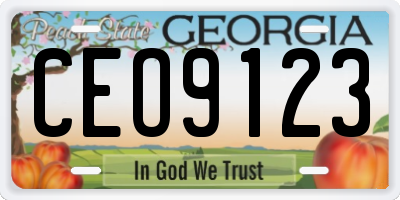 GA license plate CEO9123