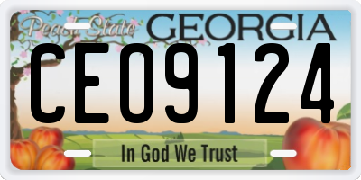 GA license plate CEO9124