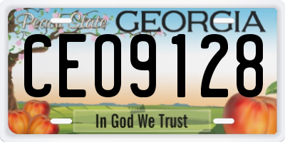 GA license plate CEO9128