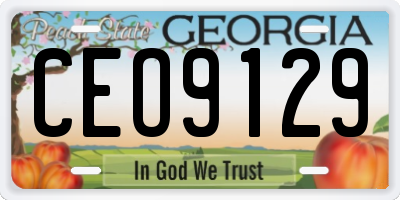 GA license plate CEO9129