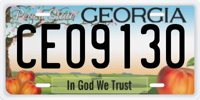 GA license plate CEO9130