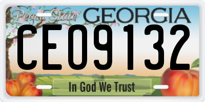 GA license plate CEO9132