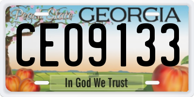 GA license plate CEO9133