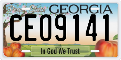 GA license plate CEO9141