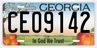 GA license plate CEO9142