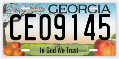 GA license plate CEO9145