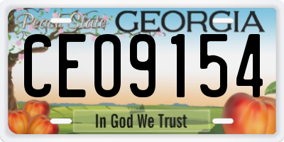 GA license plate CEO9154