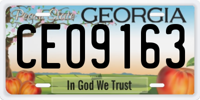 GA license plate CEO9163