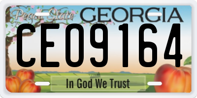GA license plate CEO9164