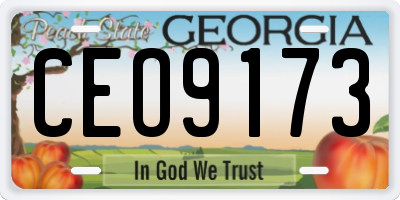 GA license plate CEO9173