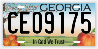 GA license plate CEO9175
