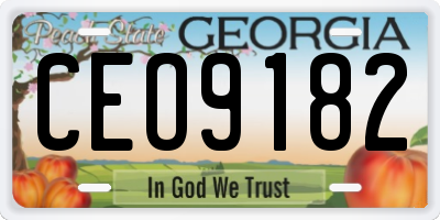 GA license plate CEO9182