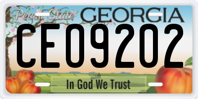 GA license plate CEO9202