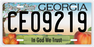 GA license plate CEO9219