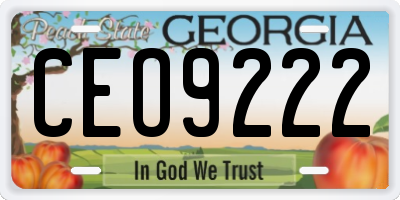 GA license plate CEO9222