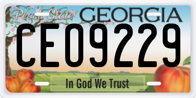 GA license plate CEO9229