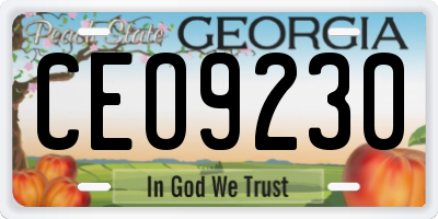 GA license plate CEO9230