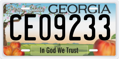 GA license plate CEO9233