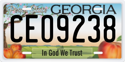 GA license plate CEO9238