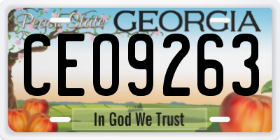 GA license plate CEO9263
