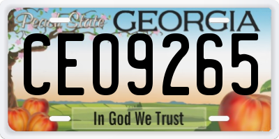 GA license plate CEO9265