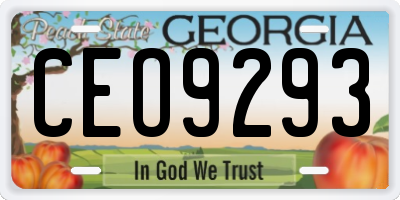 GA license plate CEO9293