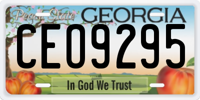 GA license plate CEO9295