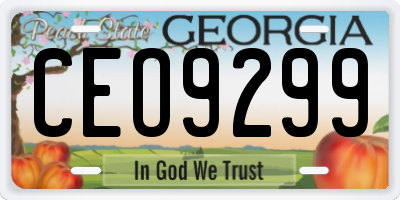GA license plate CEO9299