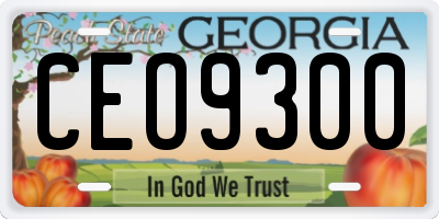 GA license plate CEO9300