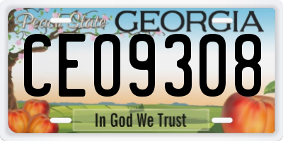 GA license plate CEO9308
