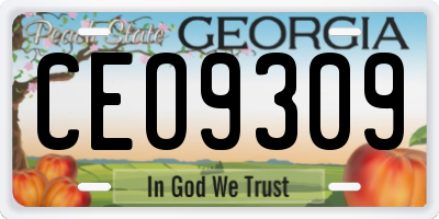 GA license plate CEO9309