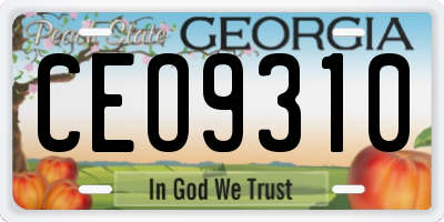 GA license plate CEO9310
