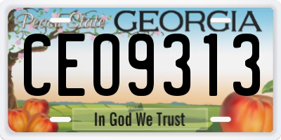 GA license plate CEO9313