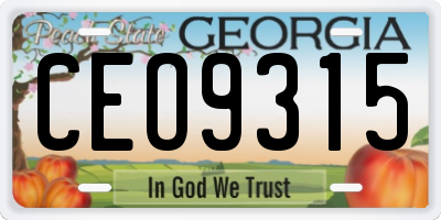 GA license plate CEO9315