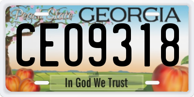 GA license plate CEO9318