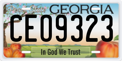 GA license plate CEO9323