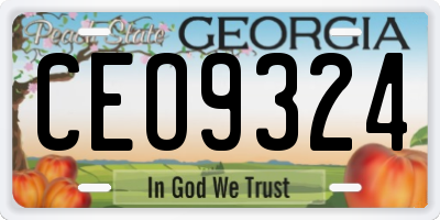 GA license plate CEO9324