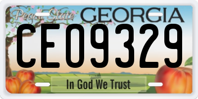 GA license plate CEO9329